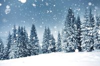 Stoffhintergrund Winterlandschaft